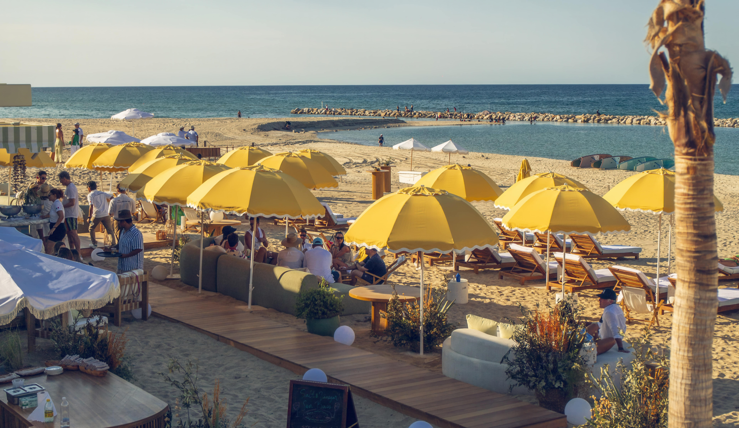 Image of Delphine Day Club