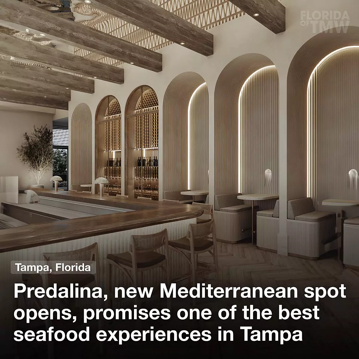 Predalina, new Mediterranean spot opens, promises one of the best seafood experiences in Tampa