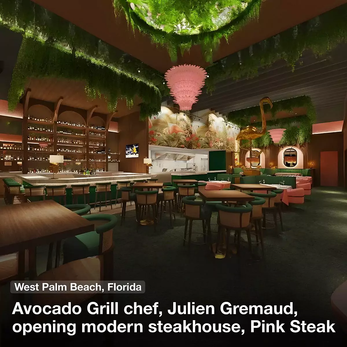 Avocado Grill chef, Julien Gremaud, opening modern steakhouse, Pink Steak