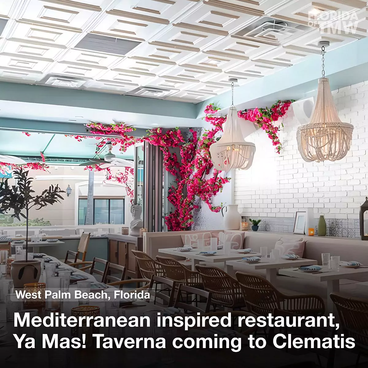 Mediterranean inspired restaurant, Ya Mas! Taverna coming to Clematis