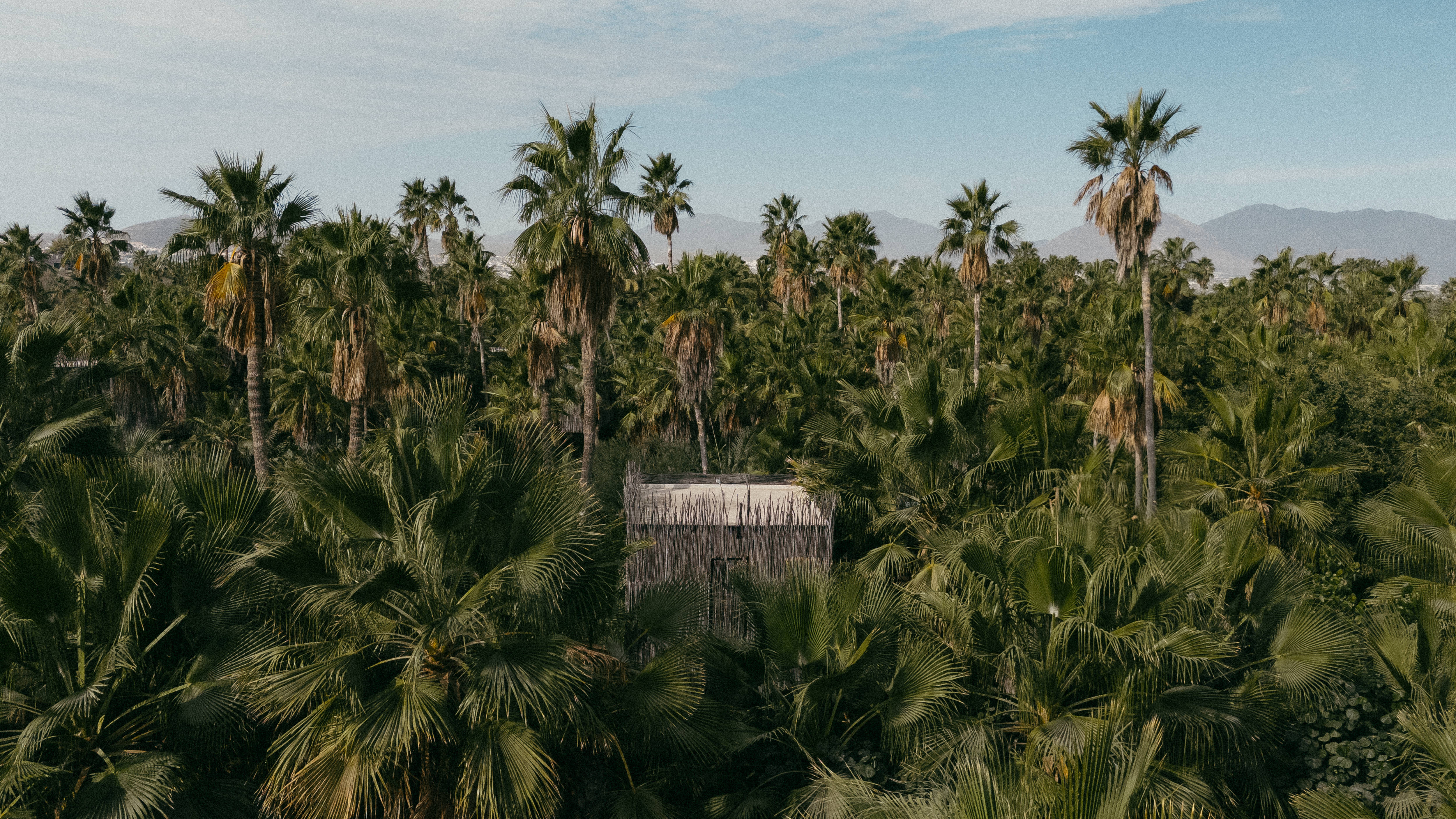 Image of Acre Resort