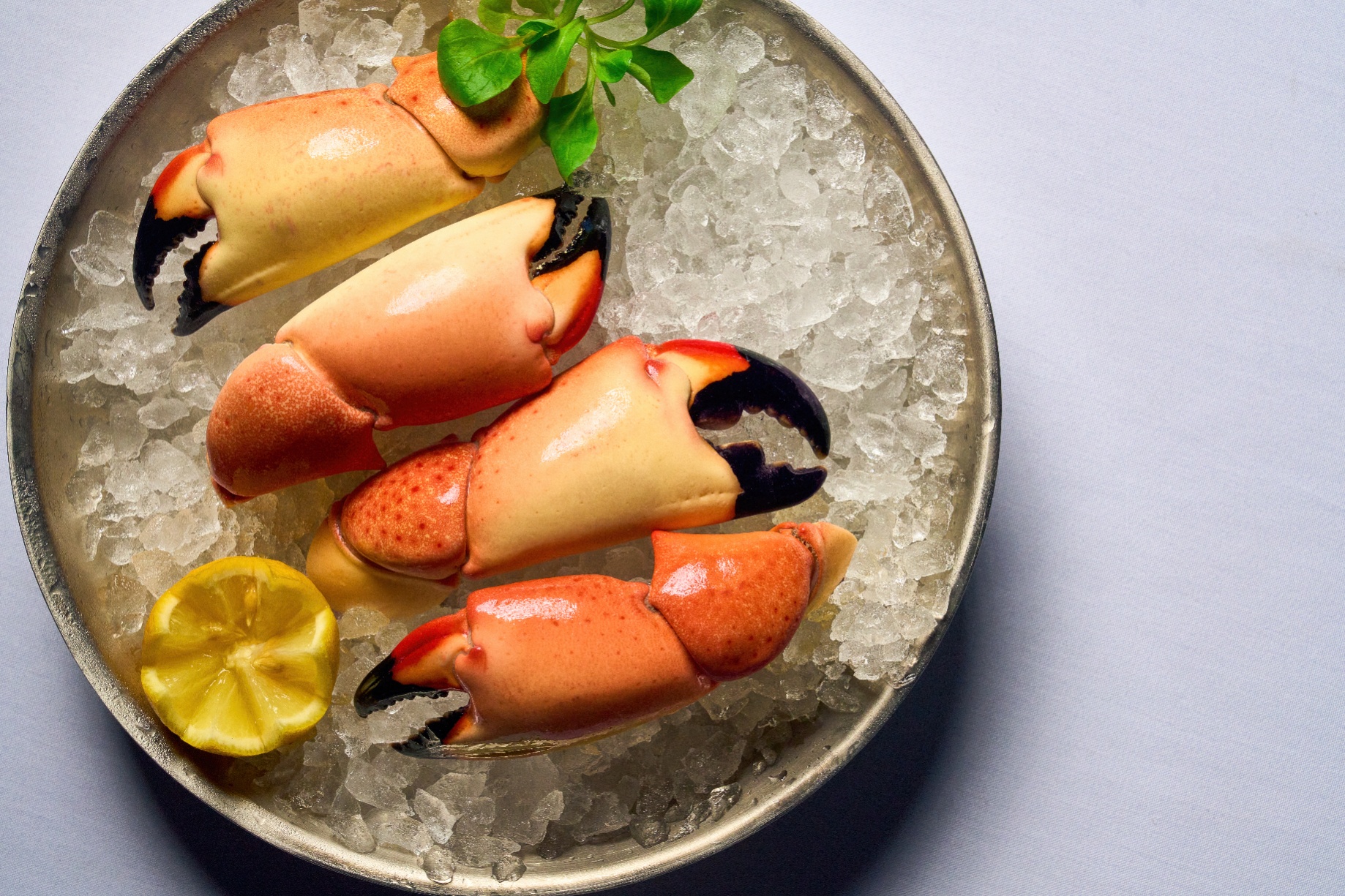 Elevated seafood and steak restaurant, Catch & Cut plans debut on Las Olas next month