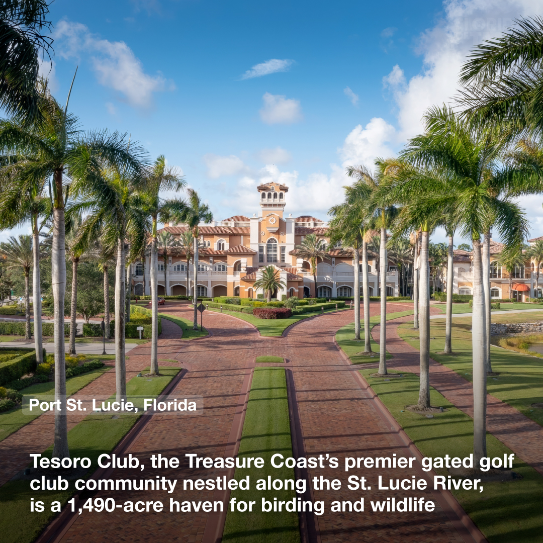 Tesoro Club, the Treasure Coast’s premier gated golf club community nestled along the St. Lucie River, is a 1,490-acre haven for birding and wildlife