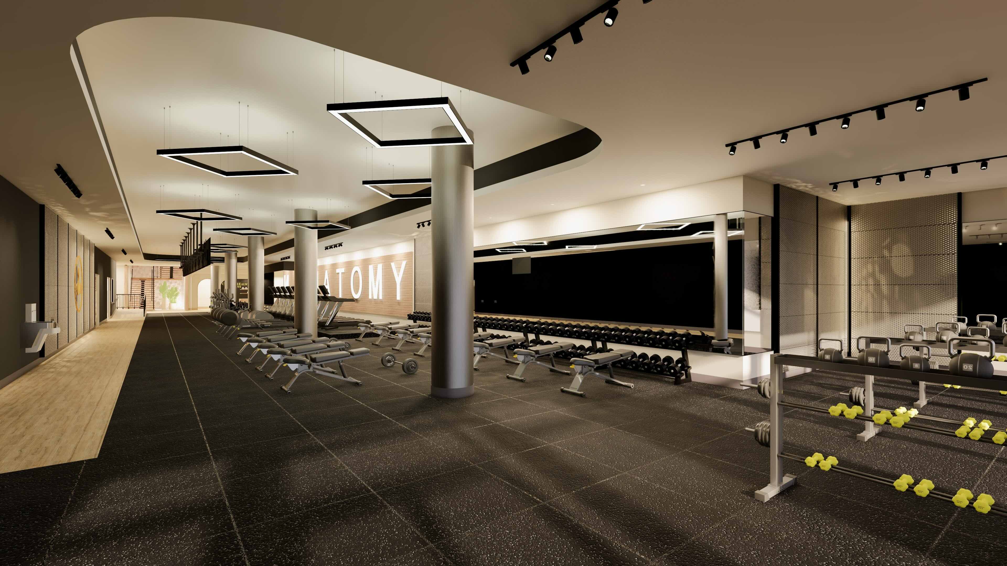 Image: Anatomy Aventura, Frossard Fernandez Design
