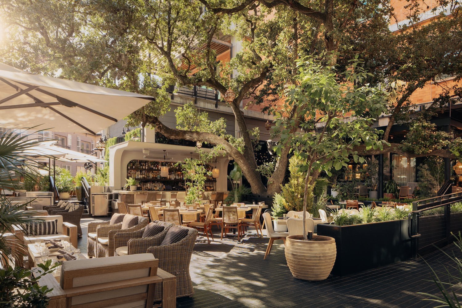 Aba Mediterranean to debut in Wedgewood-Houston this summer