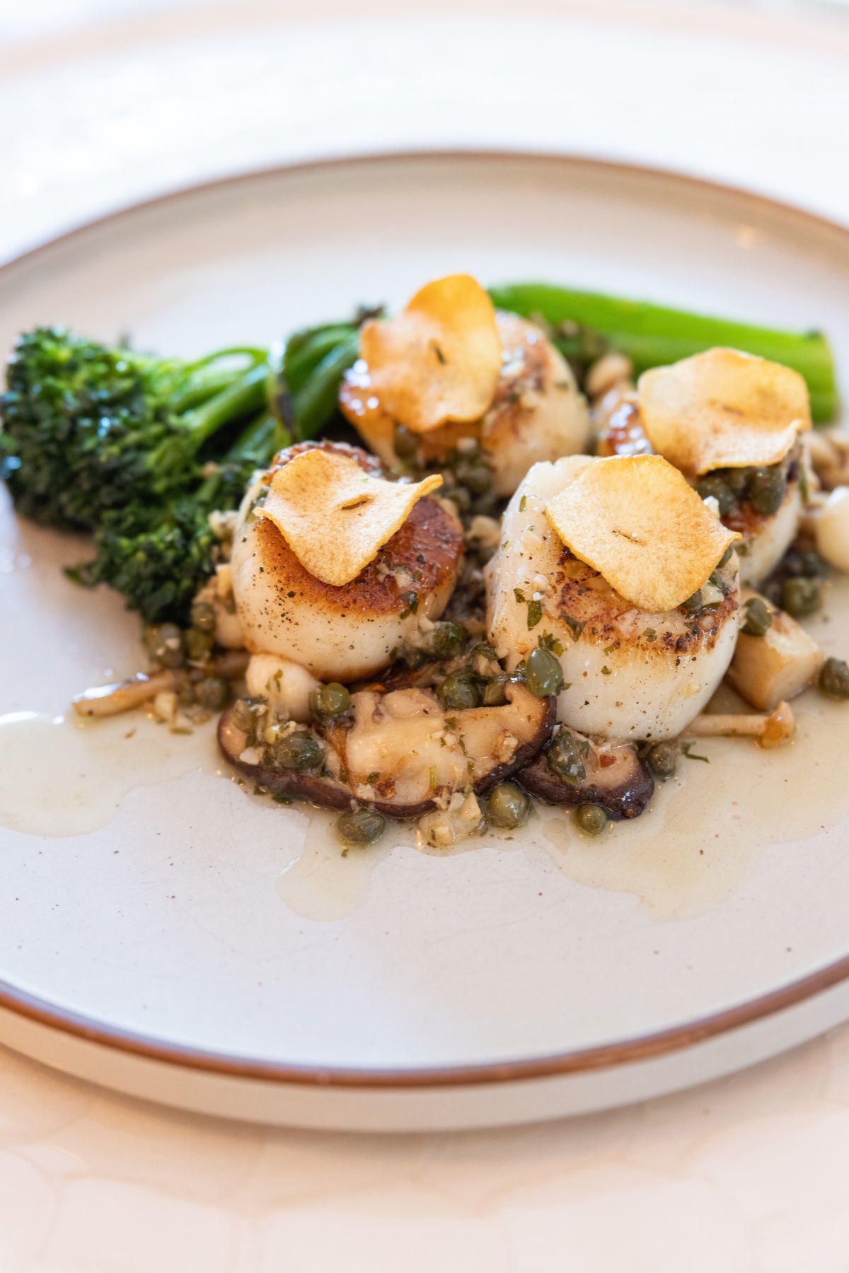 LILA Coastal Mediterranean, bringing ceviche and crudo bar with live music, opens in Jupiter