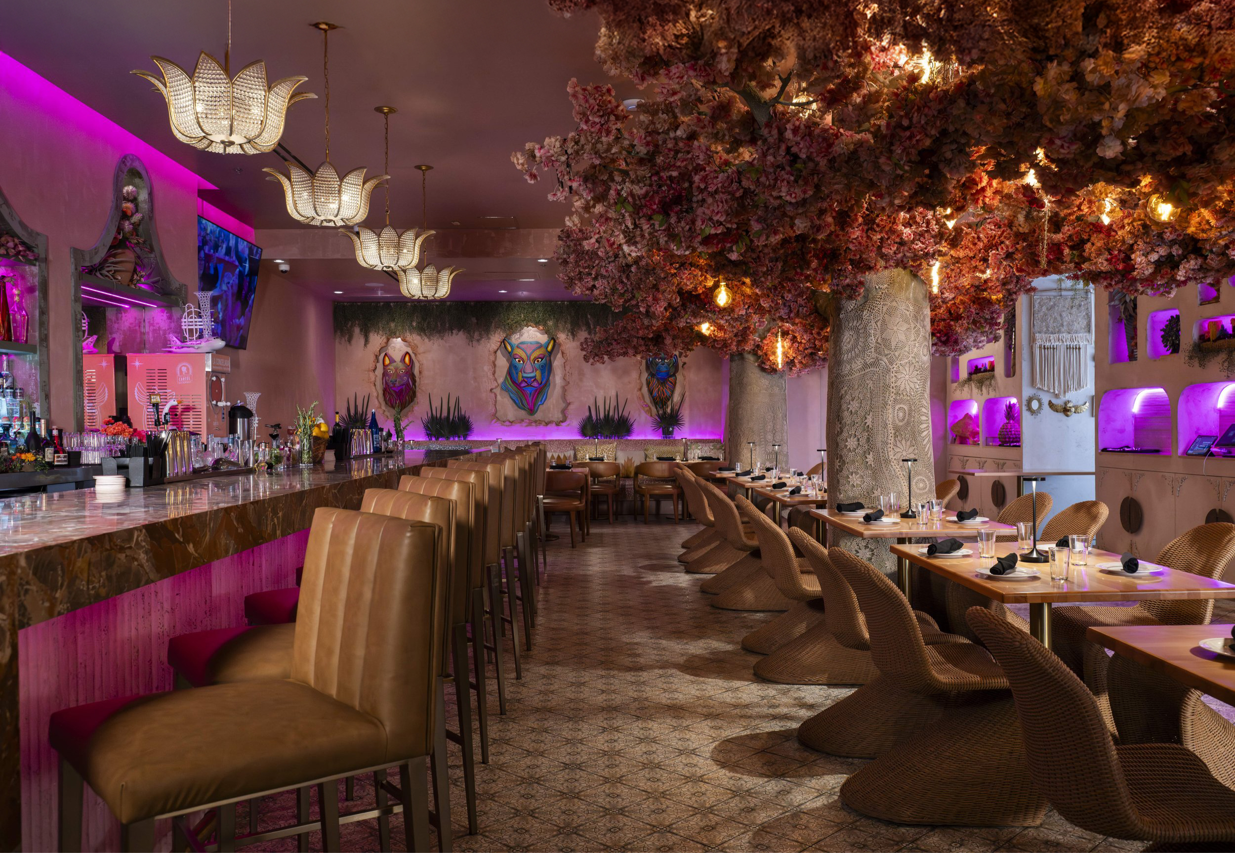 Tacos del Cartel unveils its Florida takeover plans