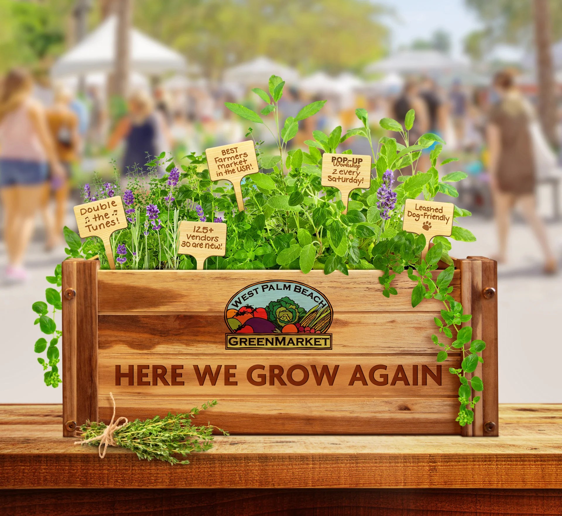 The West Palm Beach GreenMarket, named the best in U.S, begins its 29th season October 7th