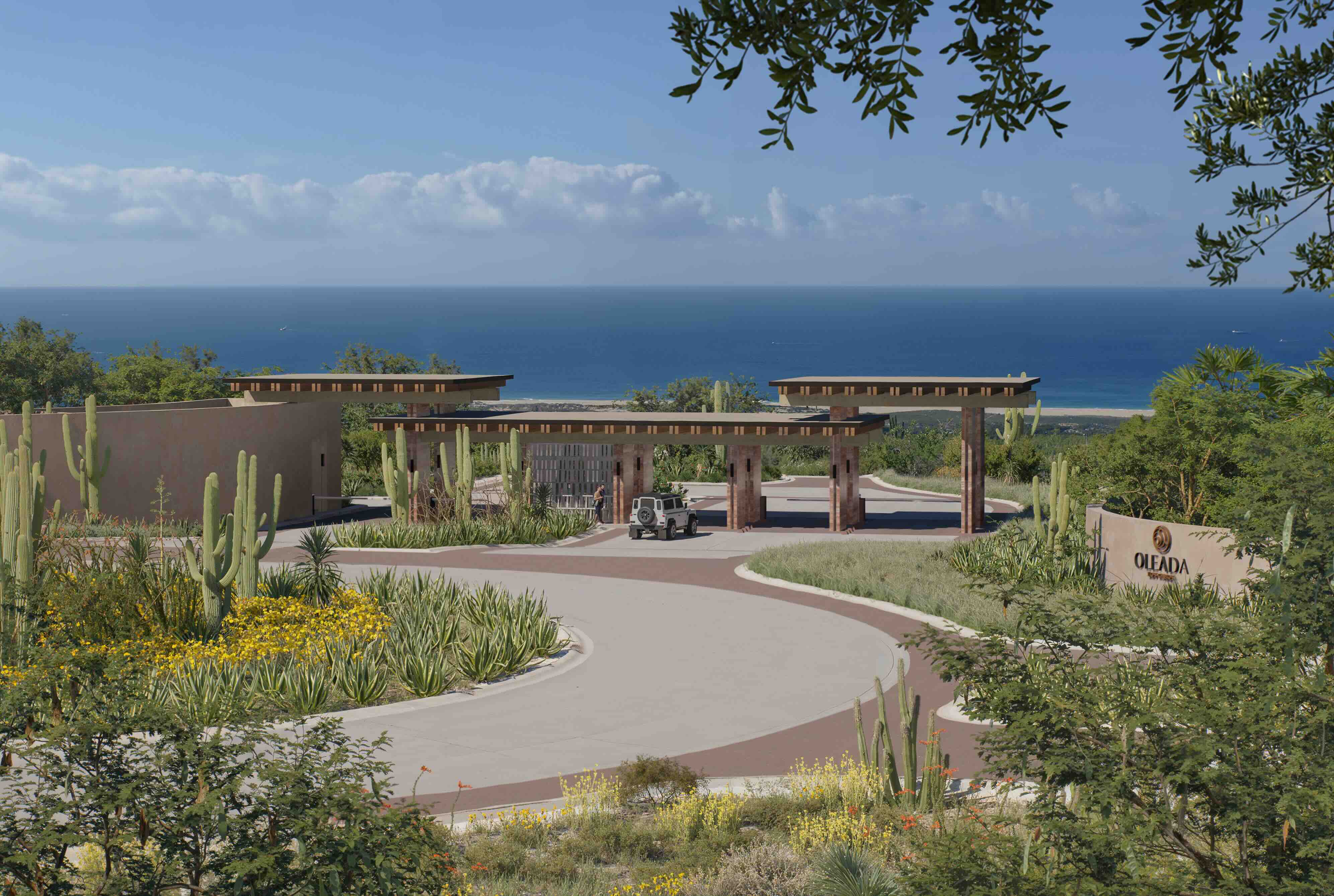 Image courtesy of Oleada Los Cabos