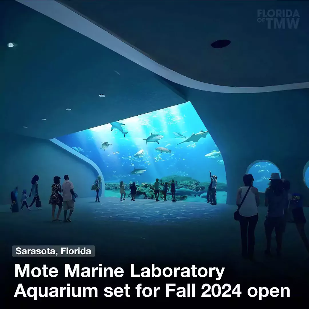 Mote Marine Laboratory and Aquarium set for Fall 2024 open
