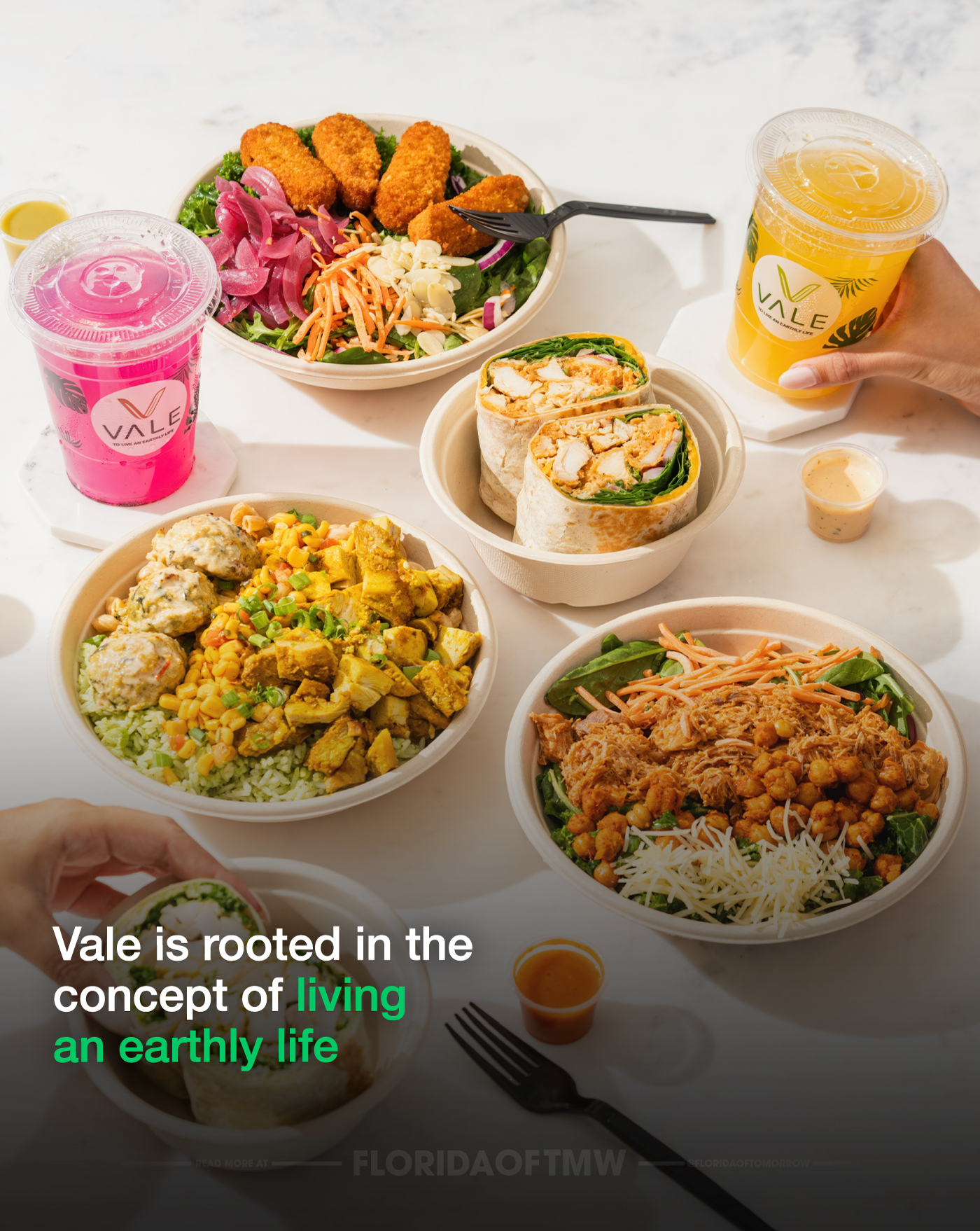Vale celebrates a decade of growth with 10 locations throughout Florida