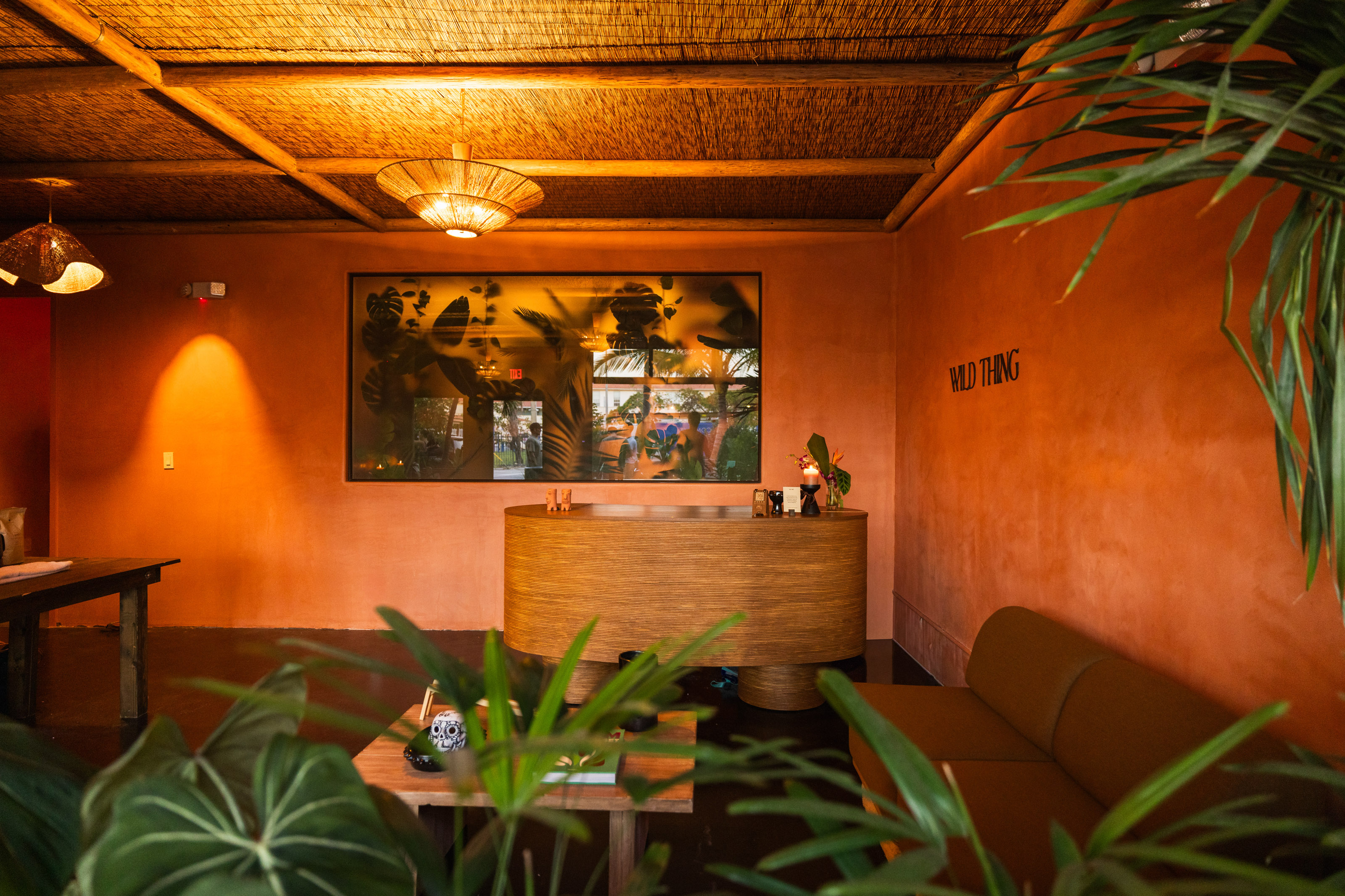 Little River’s jungle-inspired wellness hub, Wild Thing, opens its doors