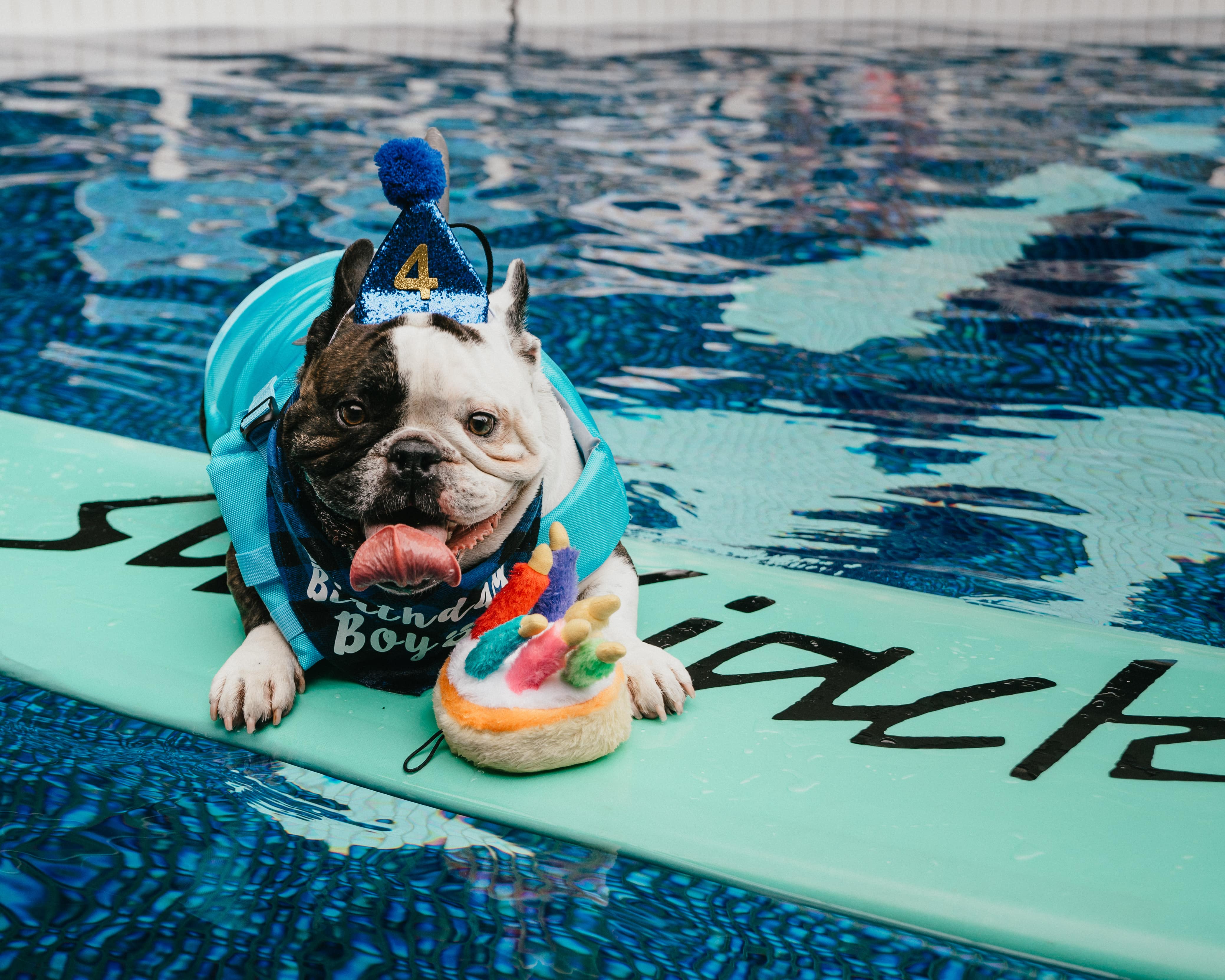 Image: The Surfjack