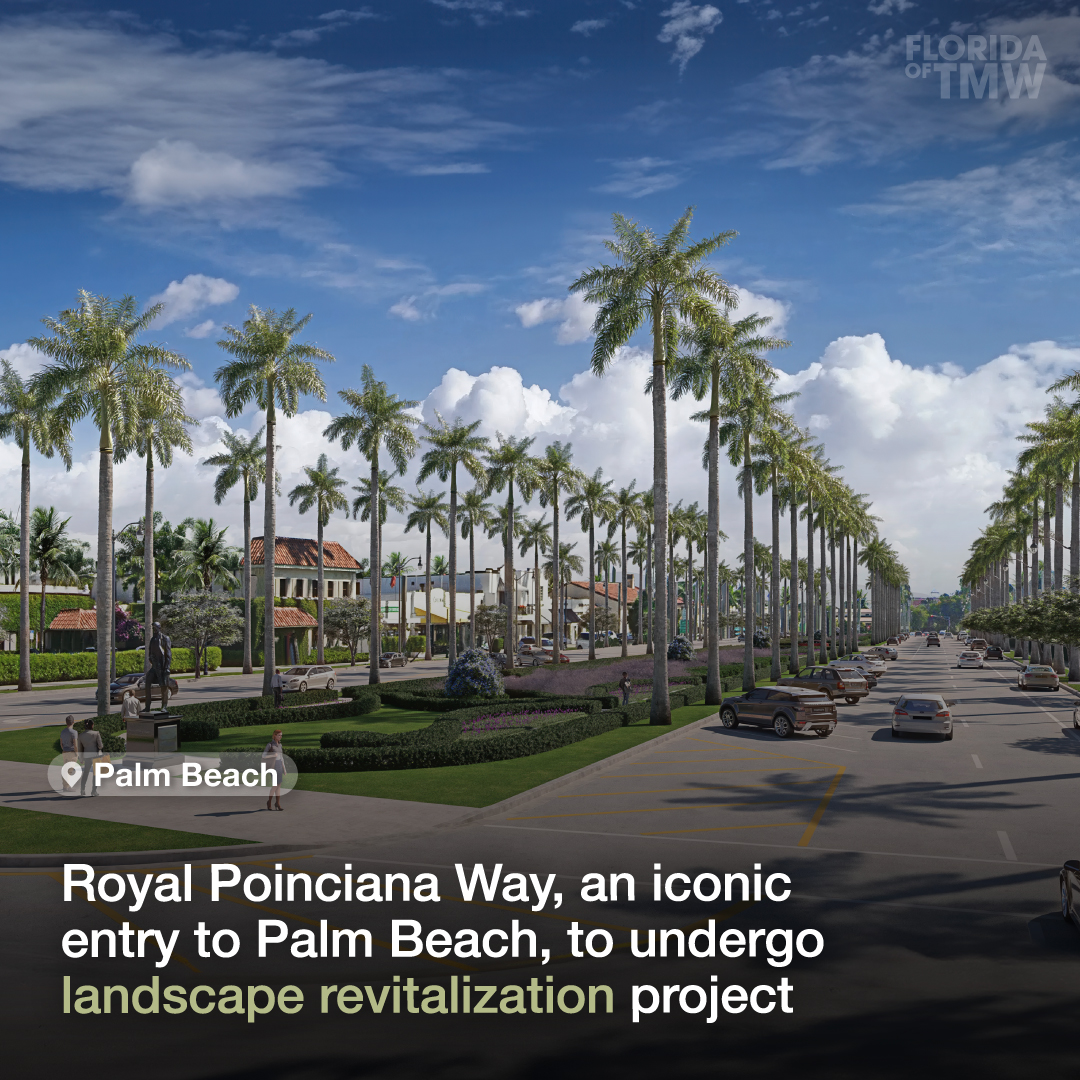 Royal Poinciana Way, an iconic entry to Palm Beach, to undergo landscape revitalization project