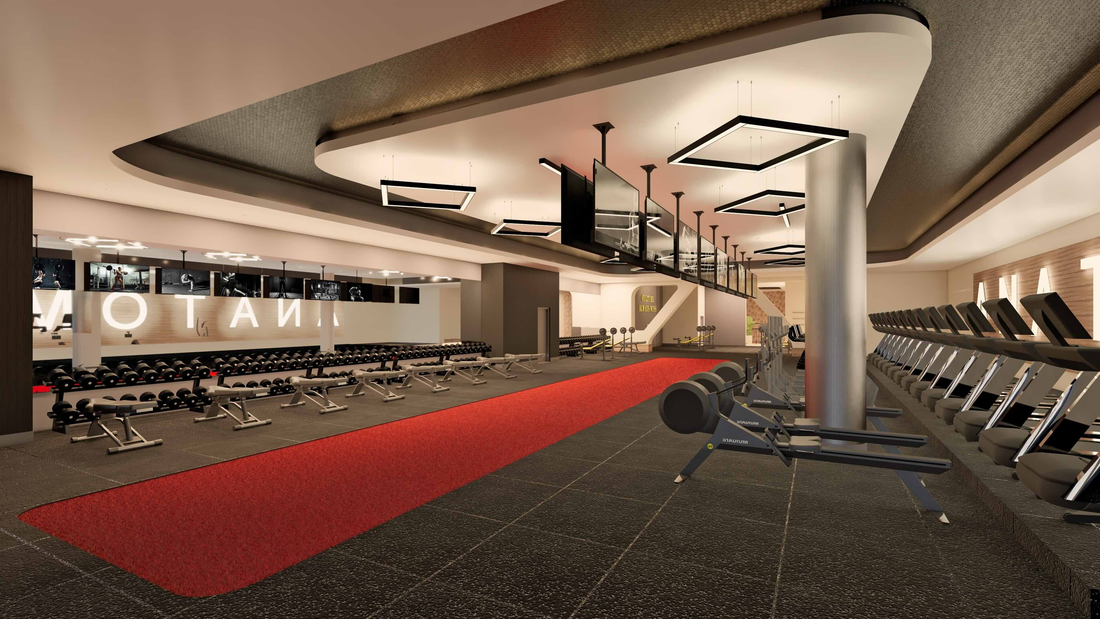 Image: Anatomy Aventura, Frossard Fernandez Design